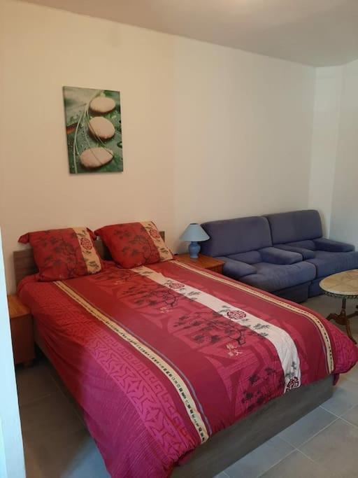 Confortable En Hyper Centre Parking Gratuit Dans La Rue Acces Avec Boite A Clee Apartman Castres  Kültér fotó
